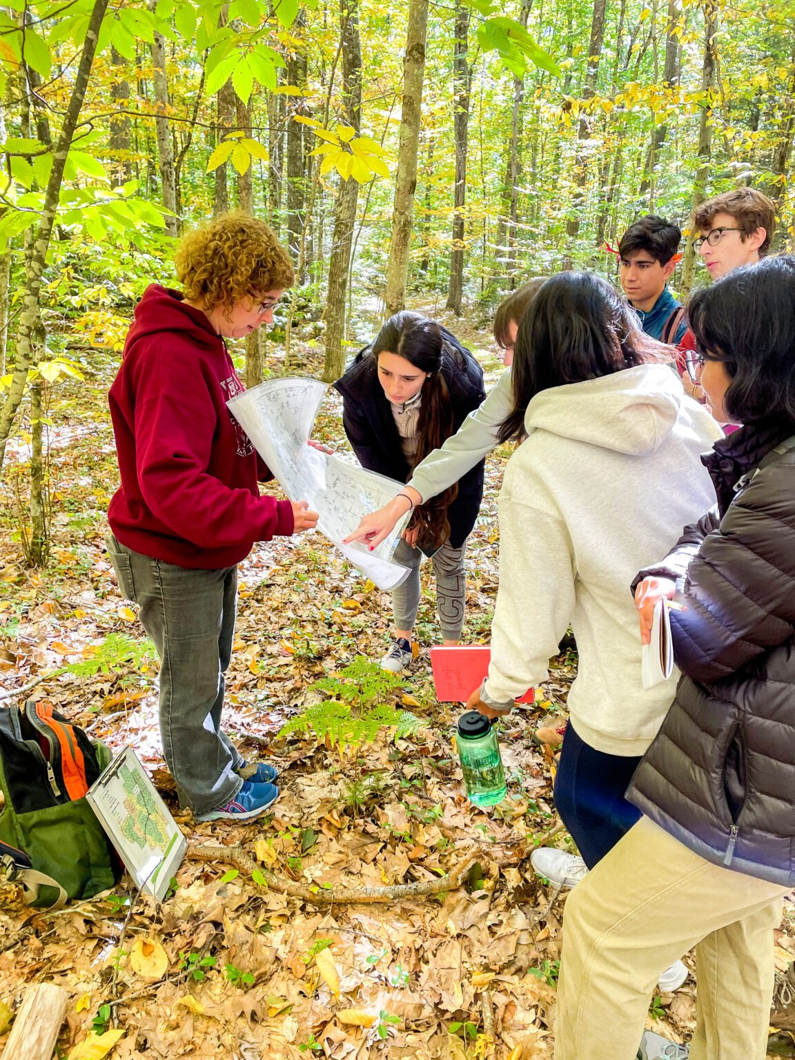 Research at the Harvard Forest—Global Change EcologyForests, Ecosystem