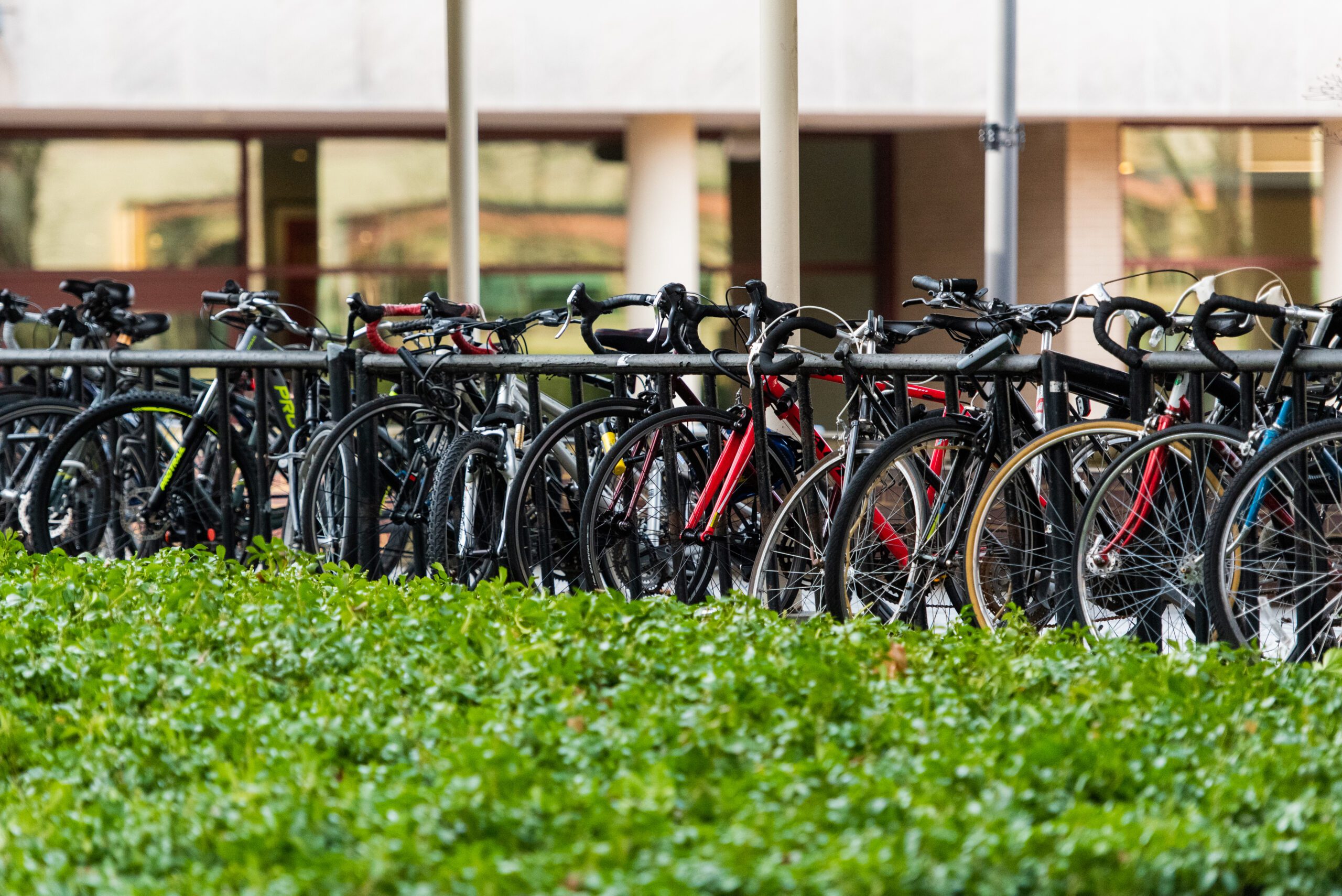 Full view of a bycicle parking, filled with bikes, in front of a green garden.