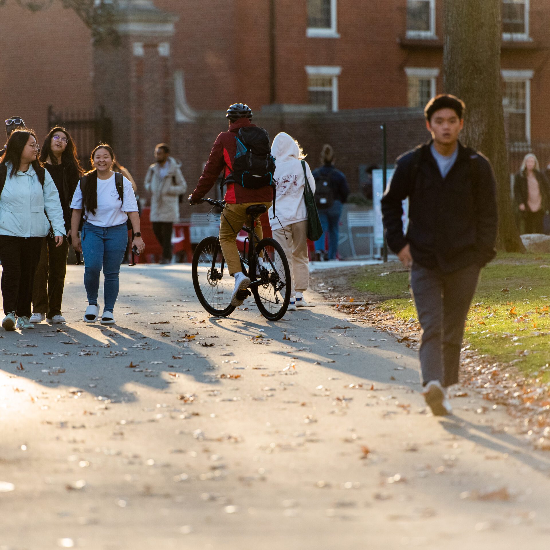 A group of students walking by on a road inside Harvard.