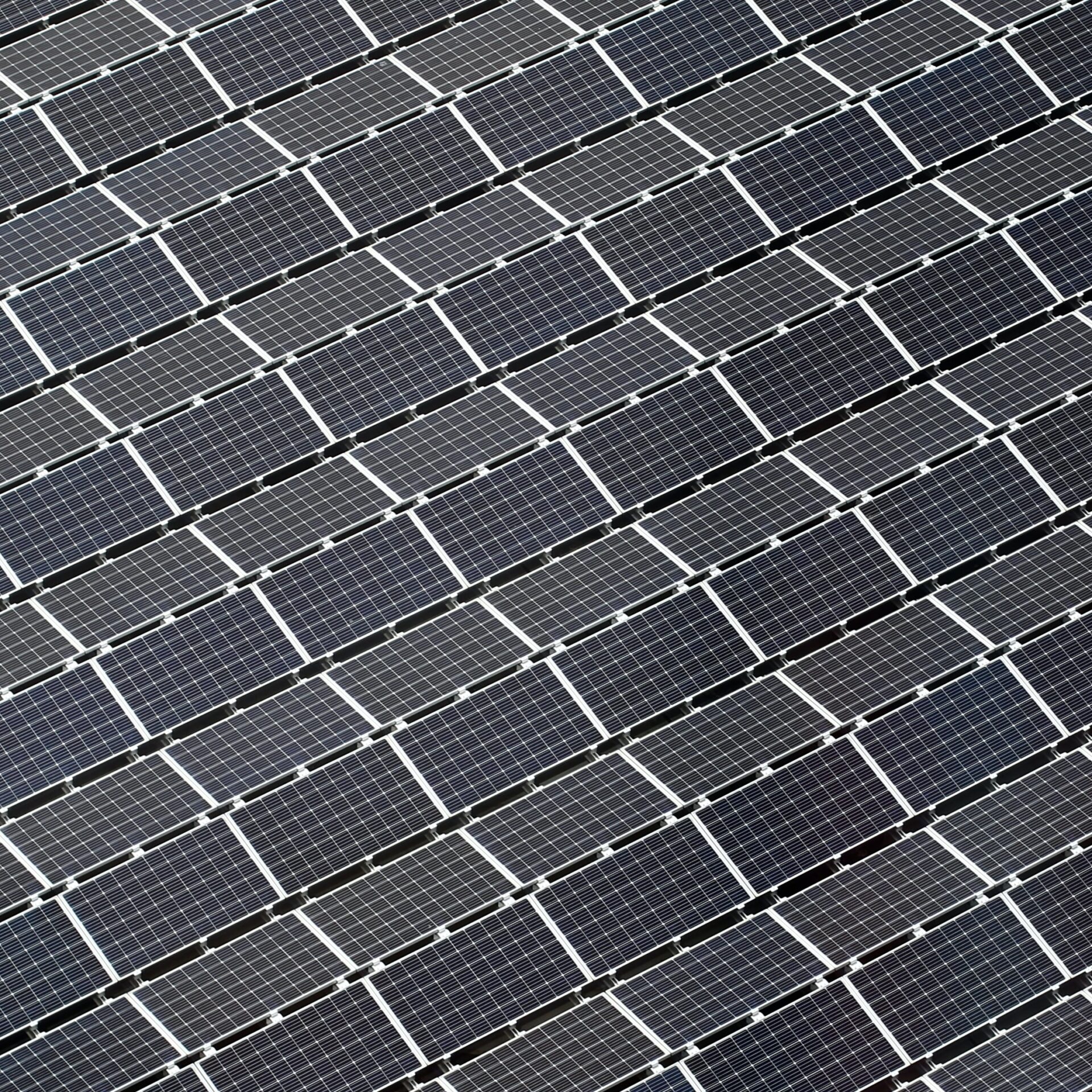 Aerial view of a solar panel array.