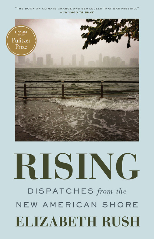 An image of a book called Rising, by Elizabeth Rush