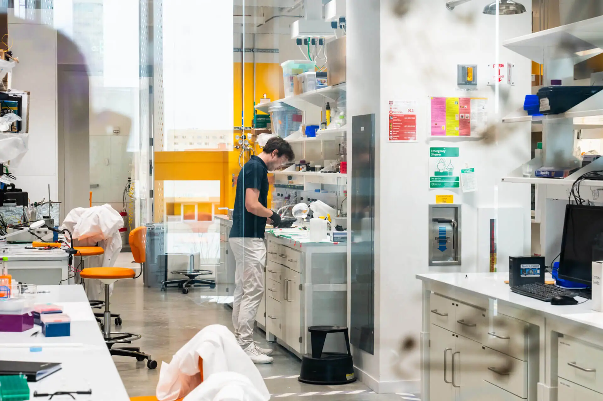 Seeking energy-efficient windows, Harvard lab finds inspiration in ...