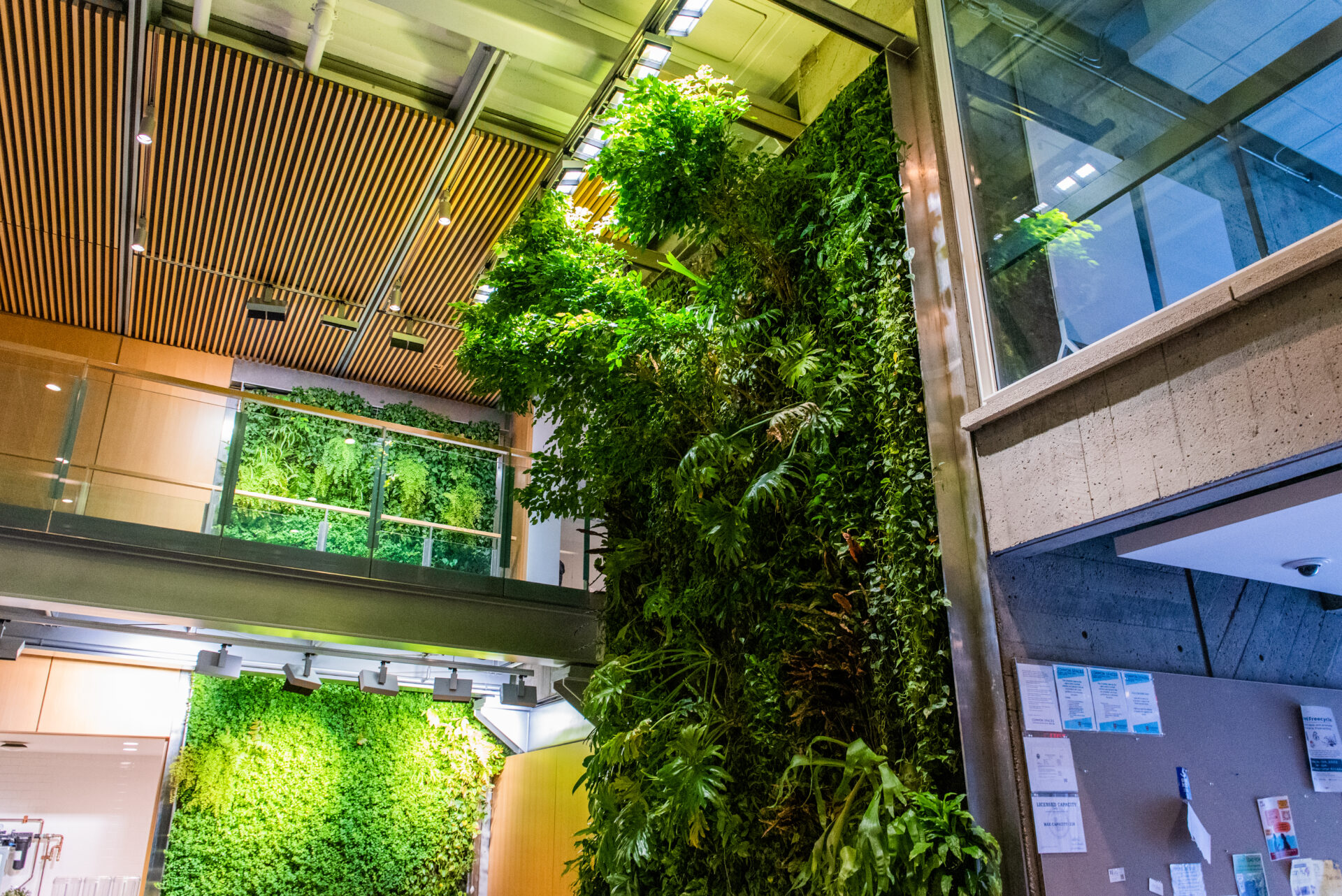 Applications Open: Climate and Sustainability Translational Fund - The ...