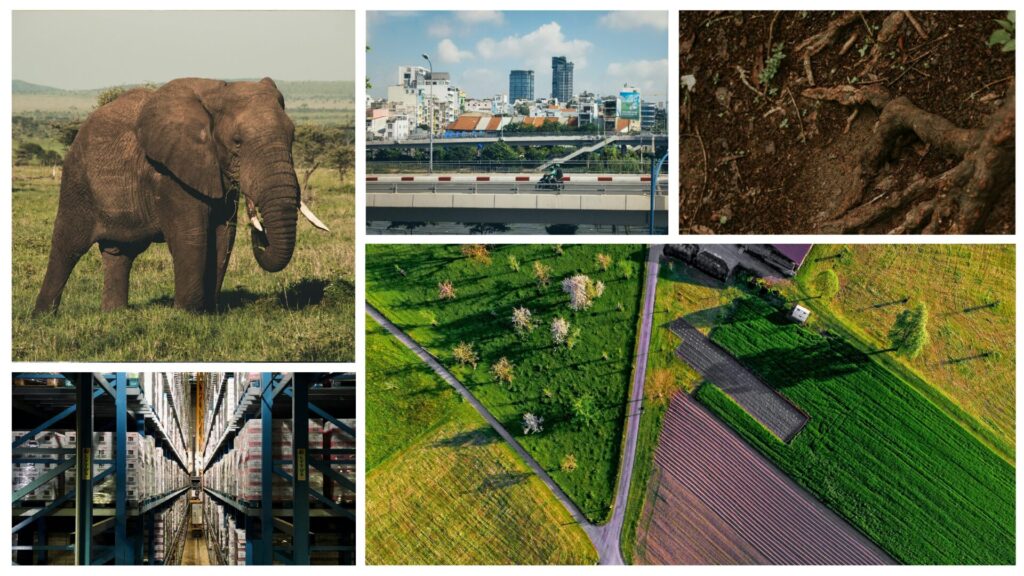 A gallery of photos shows: an African elephant; a view of Hanoi; roots in soil; a food warehouse; an aerial shot of a farm field.