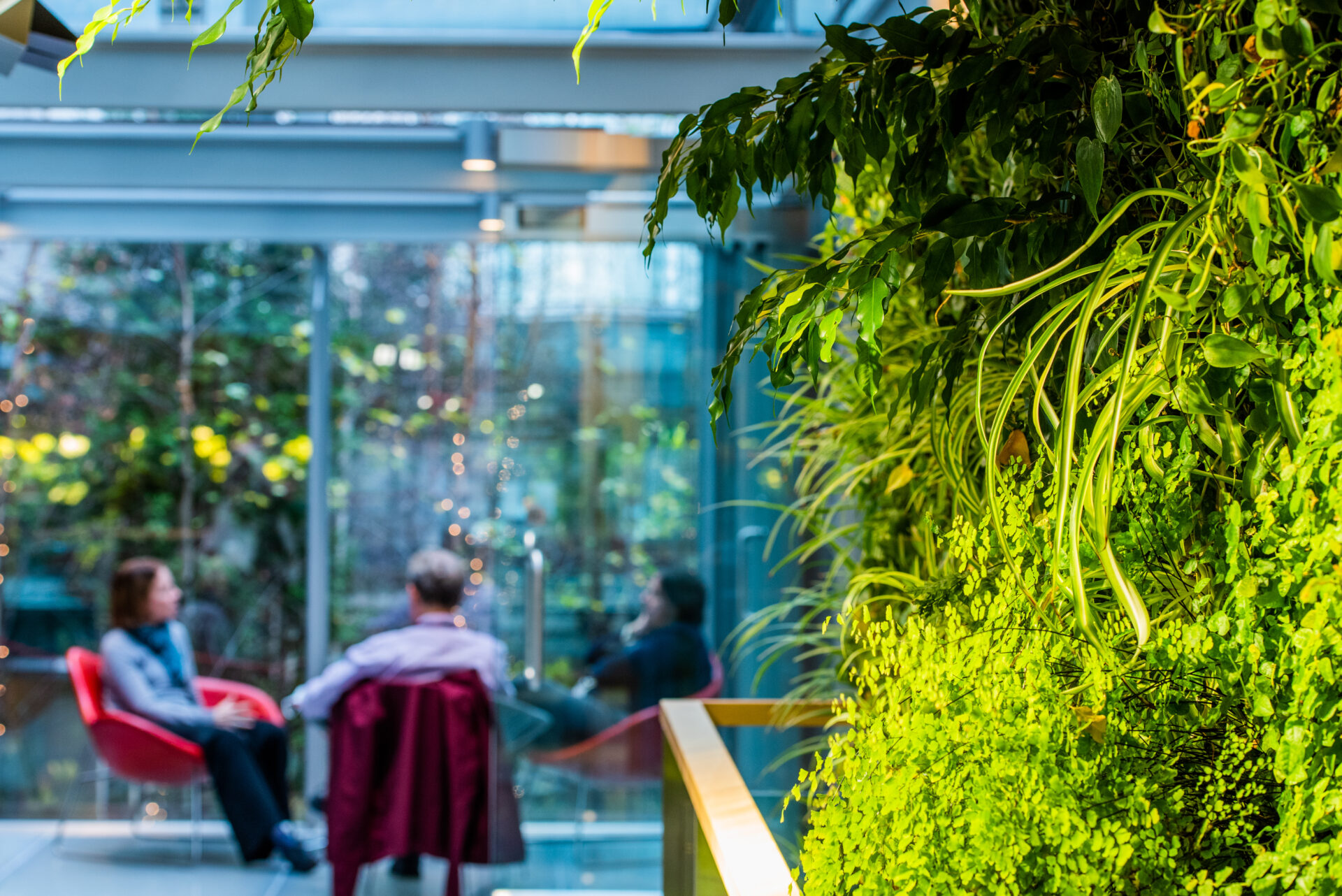 Photo of living green wall inside a building with people sitting in chairs