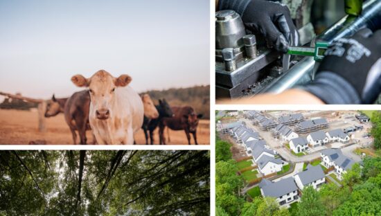 A grid of four photos. Cows are shown in a field; gloved hands are shown working on a car; a housing development is seen from above, surrounded by trees; a forest canopy is seen from below.