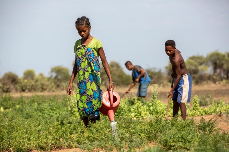 Smallholder farmers in southern Madagascar (UN World Food Program)