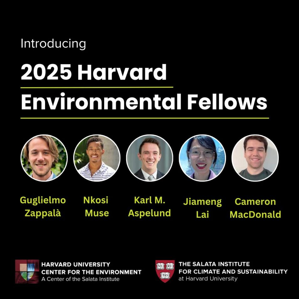 Salata Institute names 2025 Harvard Environmental Fellows - The Salata ...