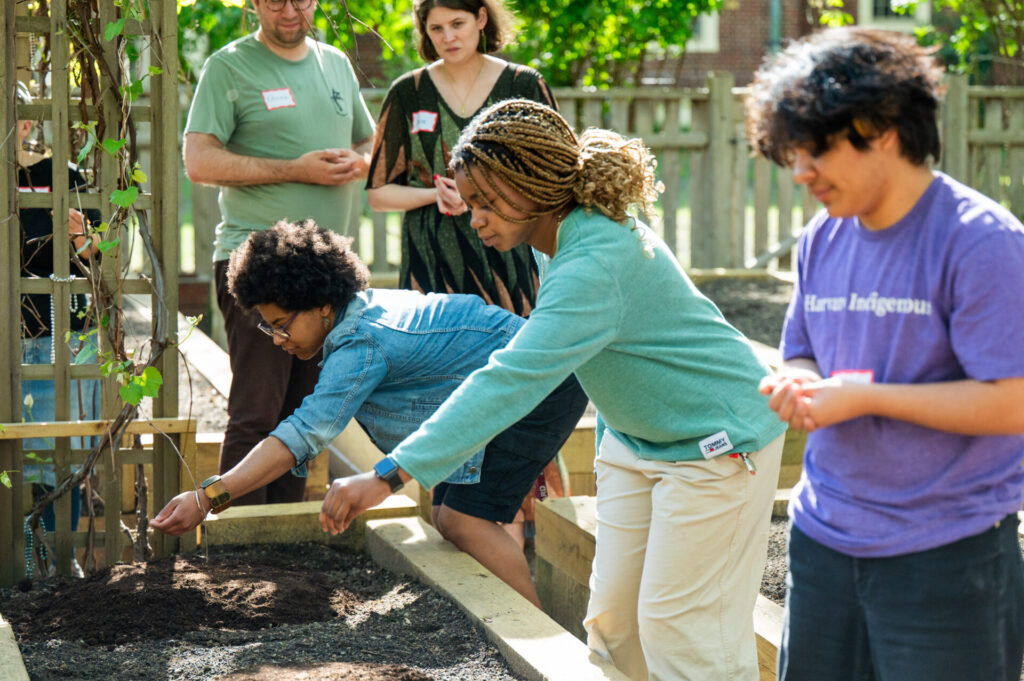 seed blessing ceremony participants spread tobacco over raised beds in the HDS garden
