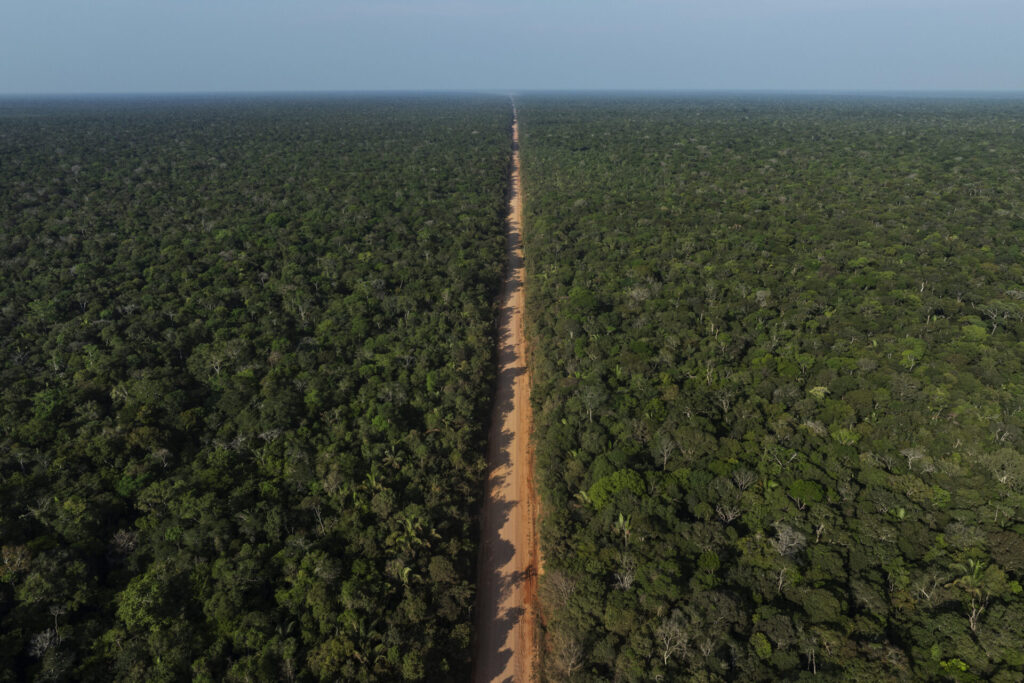 road through the Amazon