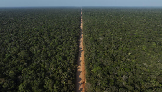 road through the Amazon