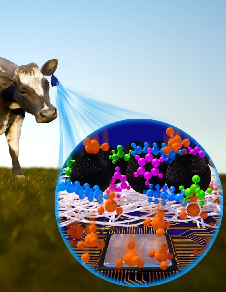 Conceptual drawing of the GRAZE tag (Second Bay Studios)