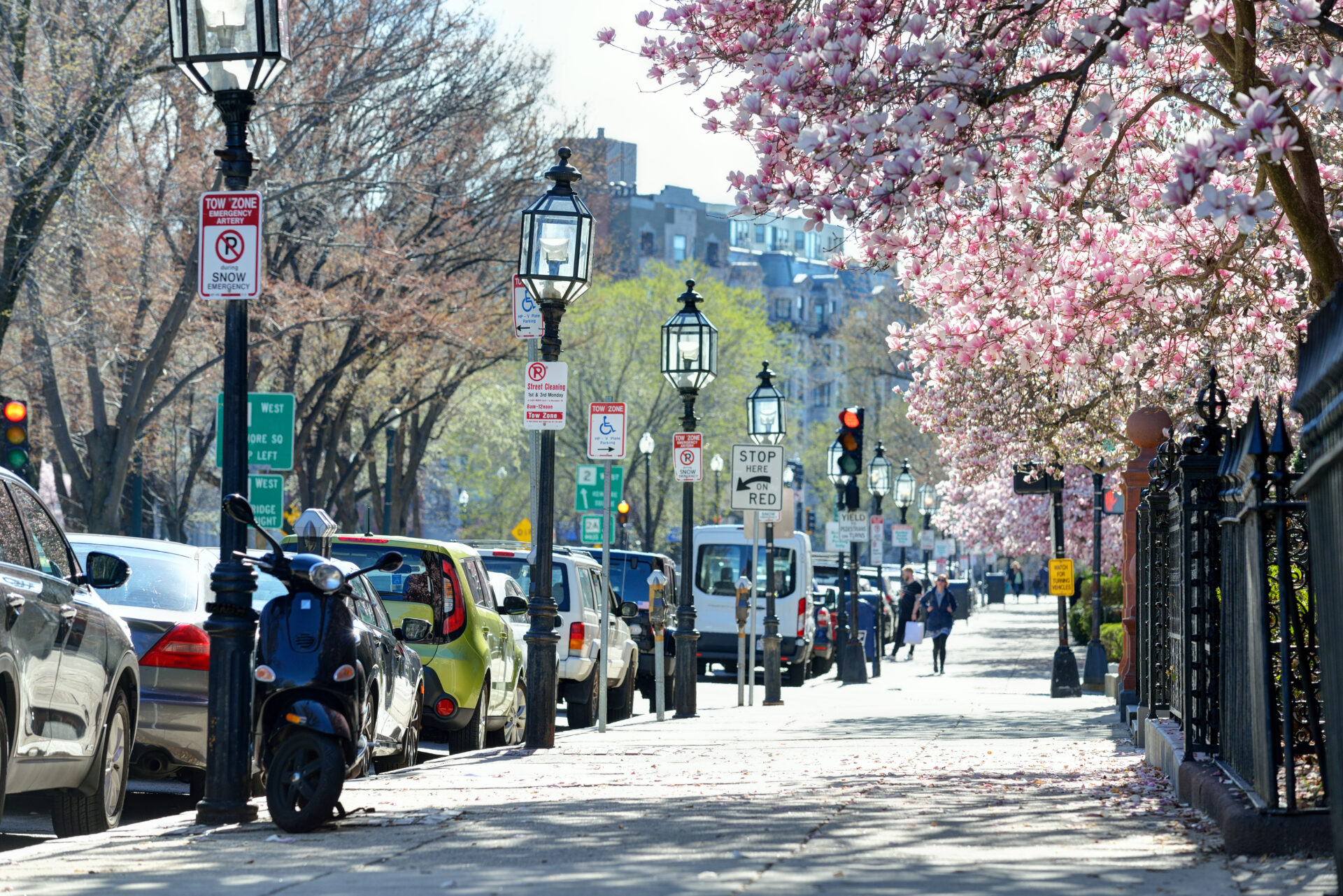 spring in Boston