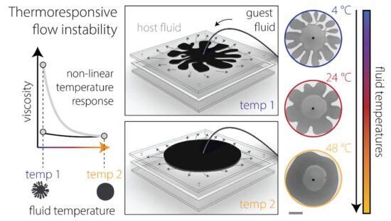 A figure from the PNAS paper