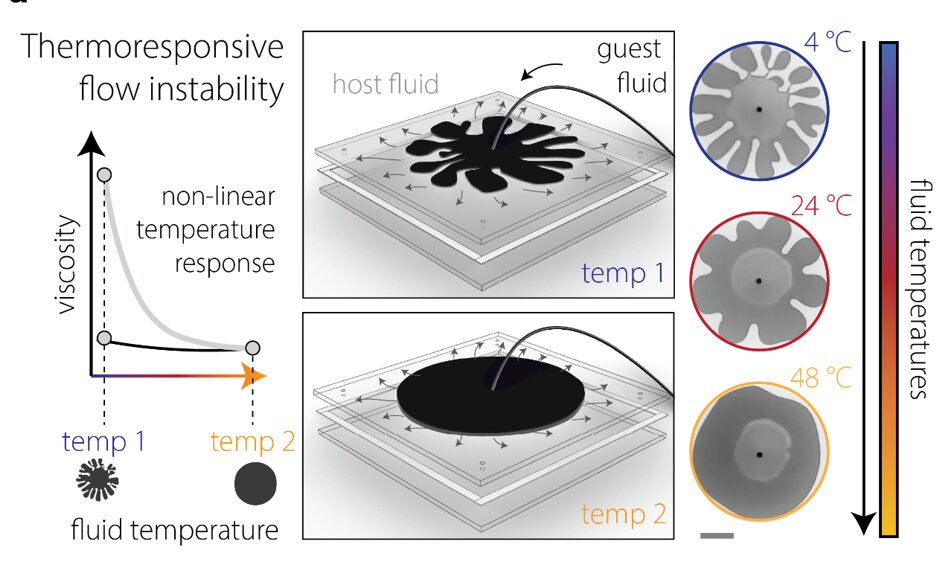 A figure from the PNAS paper