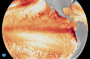 How we came to understand El Niño