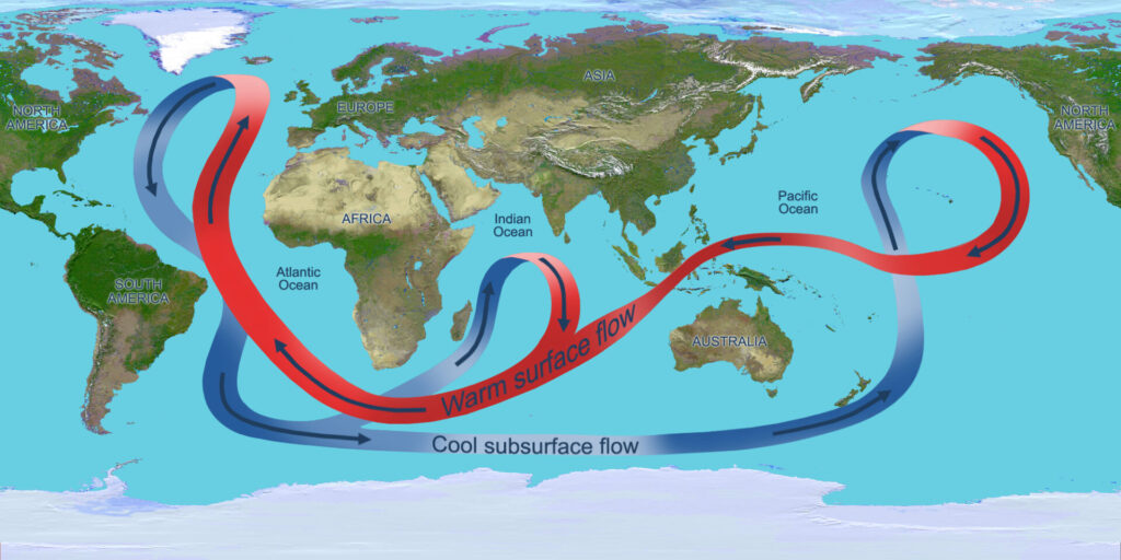 The overturning circulation of the global ocean (NASA)