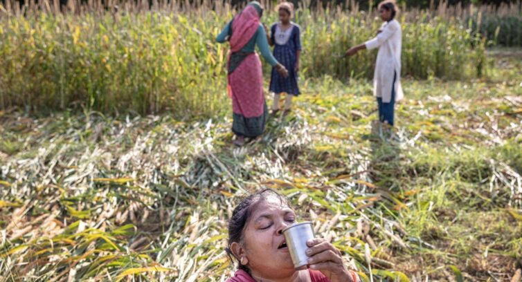 Farmer in India drinking water in heat