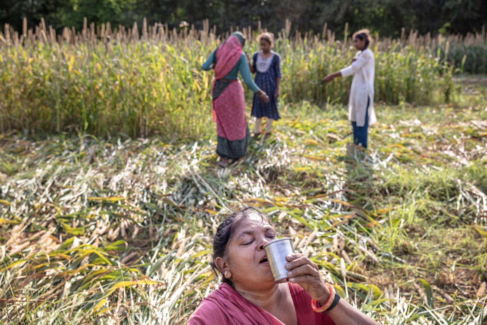 Farmer in India drinking water in heat